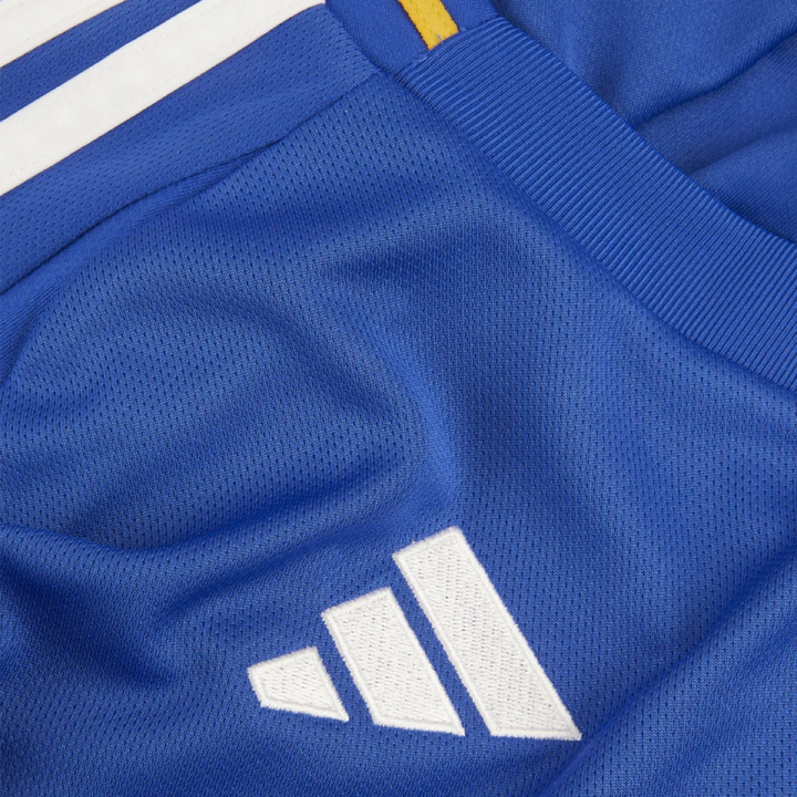 2024-25 Leicester City FC Thuis