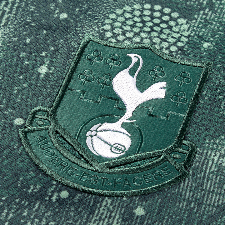 2024-25 Tottenham Hotspur FC Ausweich