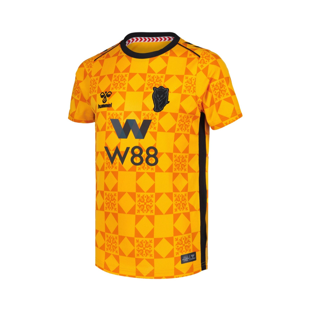 2025-26 Sunderland AFC Portiere