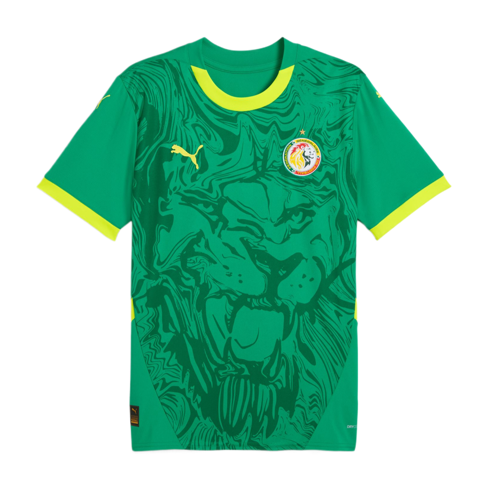 2025 Senegal Auswärts