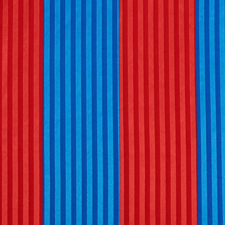 1991-92 FC Barcelona Domicile