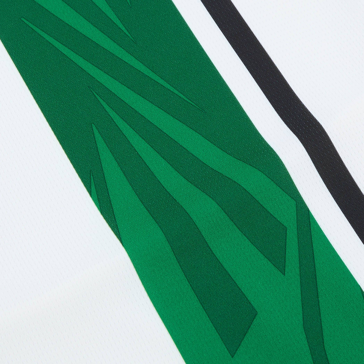 2024-25 Borussia Mönchengladbach Domicile