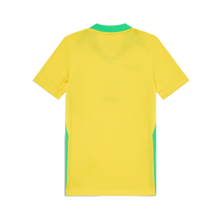 2025 Brazil Home