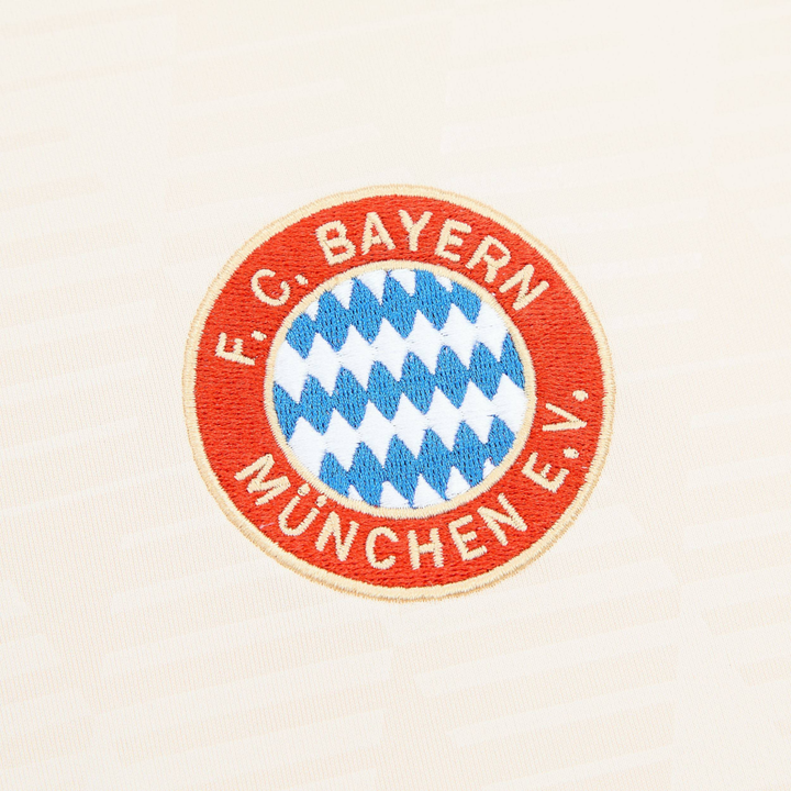 2024-25 FC Bayern München Ausweich