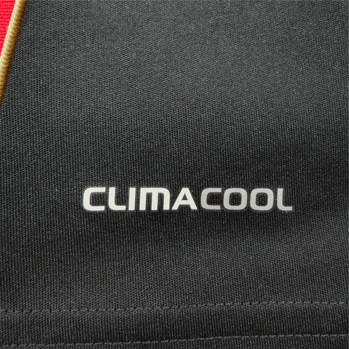 2010-11 AC Milan Domicile