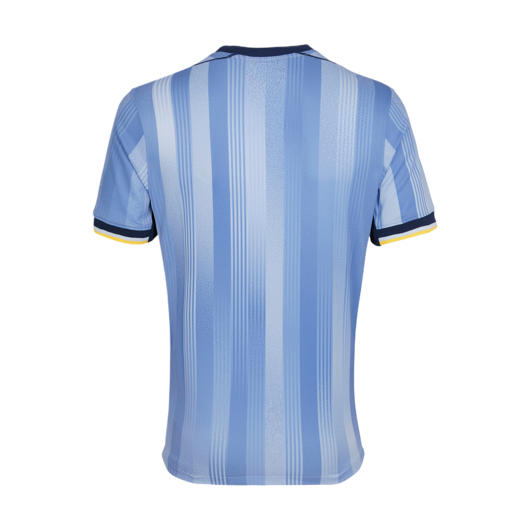2024-25 Tottenham Hotspur FC Away