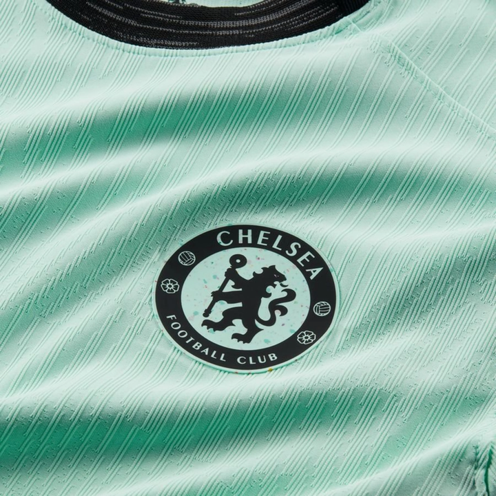 2023-24 Chelsea FC Ausweich